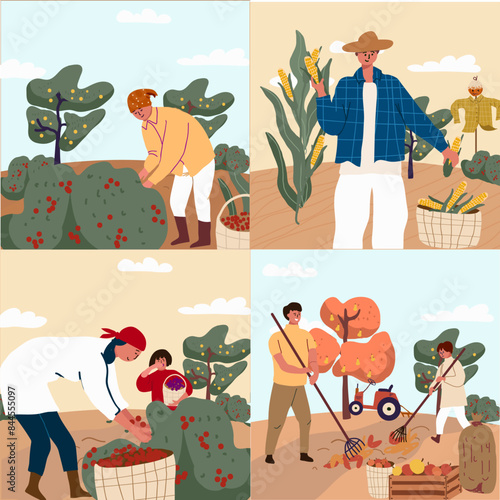 Harvest festival illustration set, flat illustration vector. Seasonal agricultural fair. Autumn harvest, summer harvest.