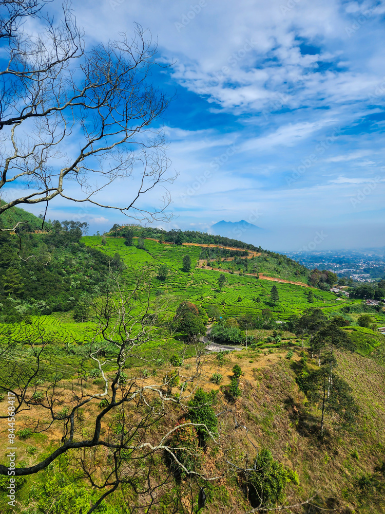 Beautiful view of the green hill at Puncak Pas, Bogor, West Java, Indonesia. Green and fresh. Nature landscape concept.