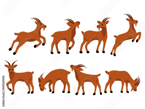 Goat Background Illustration for Qurban
