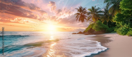 Fototapeta Naklejka Na Ścianę i Meble -  Beautiful spacious view of the tropical coast with palm trees and sandy beach at sunset, concept for summer vacation, resort