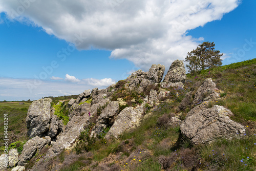 Paysage côtier de lande et rochers sur la presqu'île de Crozon au printemps : une scène pittoresque où la nature sauvage rencontre les formations rocheuses sous un ciel ensoleillé.