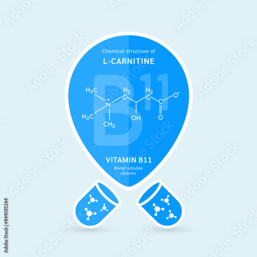 Chemical structure of L Carnitine or Vitamin B11. Water soluble vitamins. Essential fatty acid. Pin symbol floats out of the blue capsule. For use in design various products. Vector EPS10.