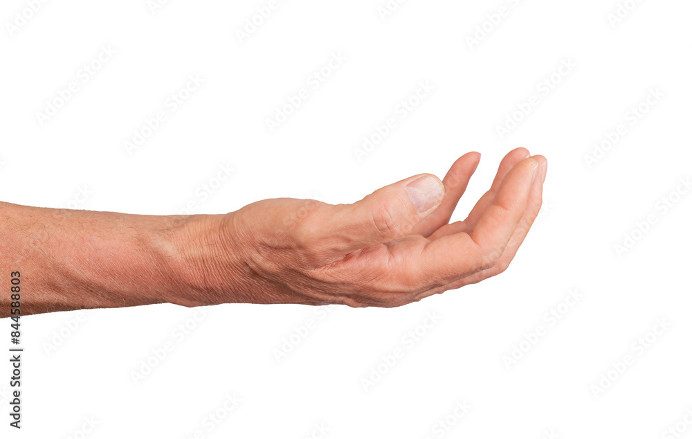 Open palm hand in a cup shape, isolated on white background. Gesture indicating offering or presenting, ideal for support and gift concepts. Close up view showing detail., transparent PNG Open palm hand in a cup shape, isolated on white background. Gesture indicating offering or presenting, ideal for support and gift concepts. Close up view showing detail., transparent PNG