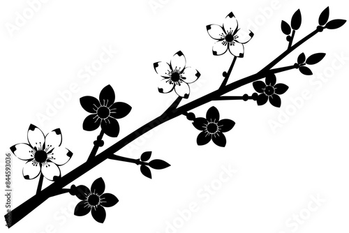 cherry blossom flower silhouette vector illustration