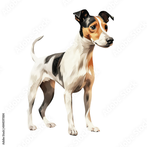 Watercolour Illustration of Smooth Fox Terrier Dog Clipart © Ajay