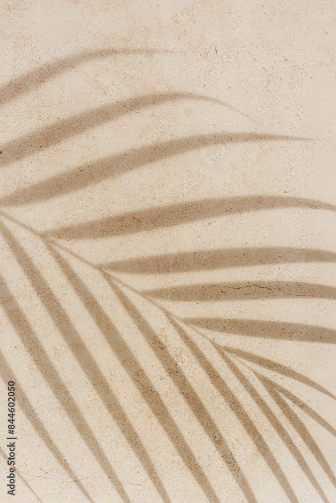 Summer minimal style background with shadow from natural palm leaf on light beige concrete background, hard light, copy space. Pastel color aesthetic photography with palm shadows at sunlight. Summer minimal style background with shadow from natural palm leaf on light beige concrete background, hard light, copy space. Pastel color aesthetic photography with palm shadows at sunlight.