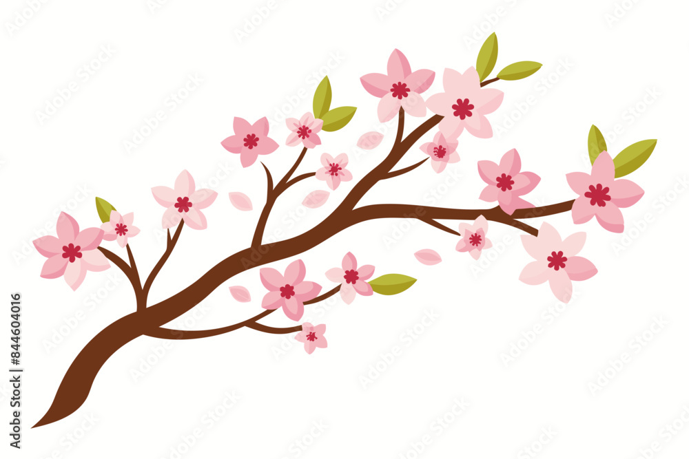 cherry blossom flower vector illustration cherry blossom flower vector illustration