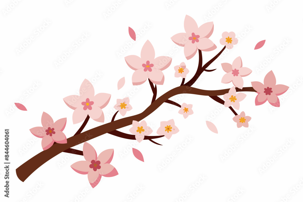 cherry blossom flower vector illustration cherry blossom flower vector illustration