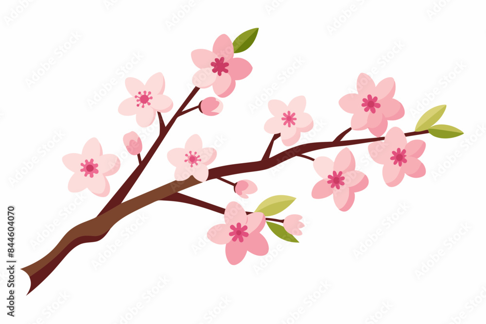 cherry blossom flower vector illustration cherry blossom flower vector illustration
