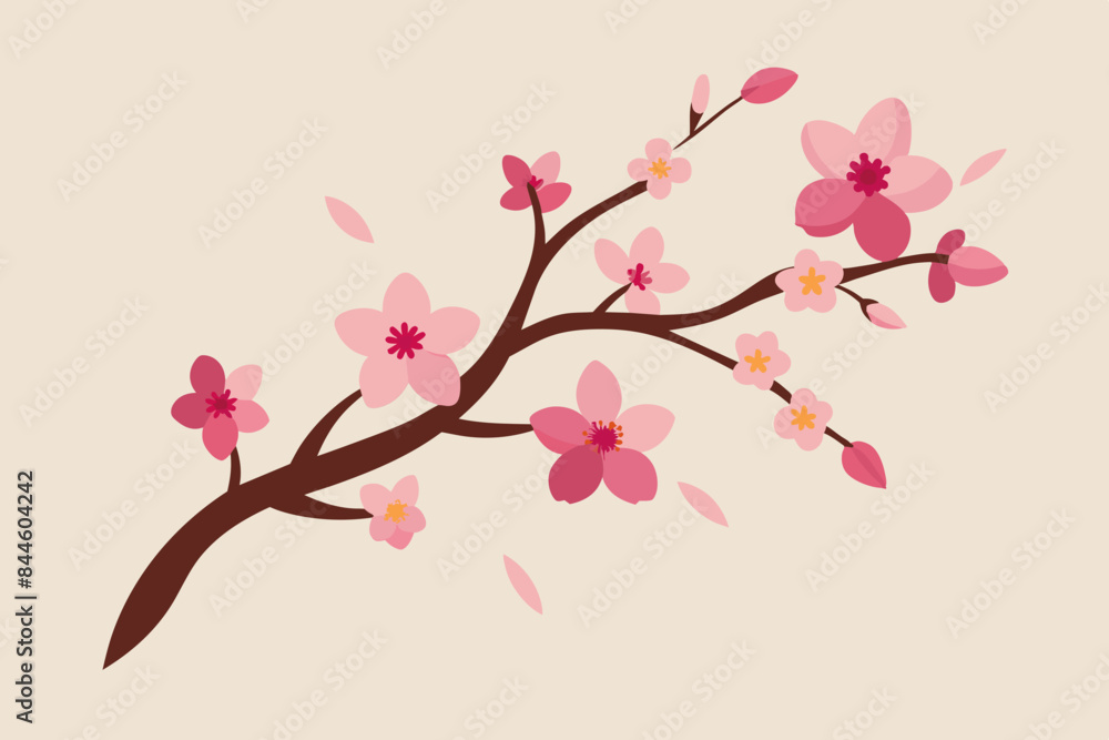 cherry blossom flower vector illustration cherry blossom flower vector illustration