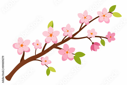 cherry blossom flower vector illustration