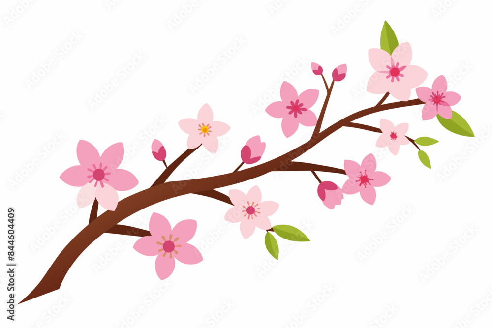 cherry blossom flower vector illustration cherry blossom flower vector illustration