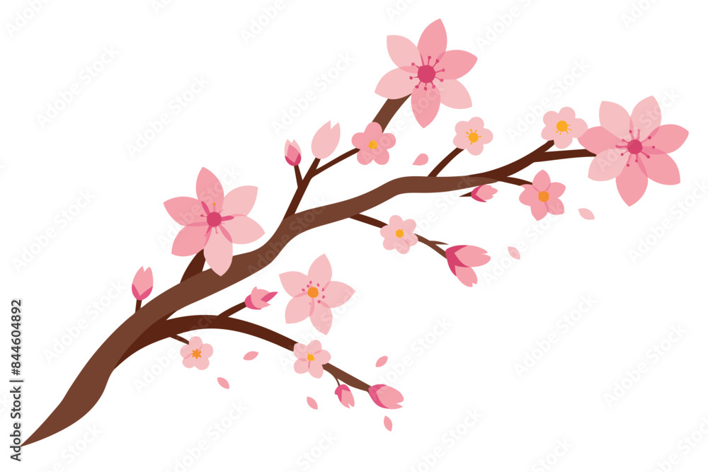 cherry blossom flower vector illustration cherry blossom flower vector illustration