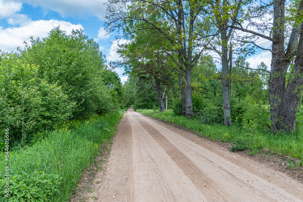 Fototapeta premium a country road stretching into the distance with grass and shrubs on the sides of the road