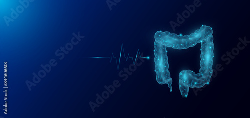 Intestine human organ anatomy in form style polygon low poly futuristic and pulse wave glowing. Medical science template banner with empty space for text. Vector EPS10 illustration.