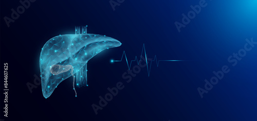 Liver human organ anatomy in form style polygon low poly futuristic and pulse wave glowing. Medical science template banner with empty space for text. Vector EPS10 illustration.