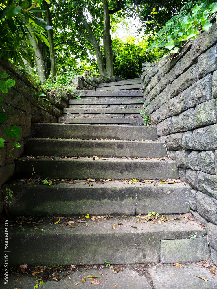 Stone steps leading up through a lush green garden, surrounded by tall trees and stone walls. Stone steps leading up through a lush green garden, surrounded by tall trees and stone walls.