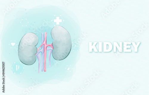 Medical infographic of kidney background. Abstract background style watercolor. Medical care for the hospital, page. Vector illustration