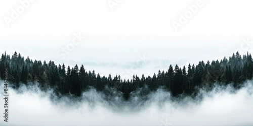 Amazing mystical rising fog in a forest, perfect for moody landscape photography, emphasizing nature's beauty.