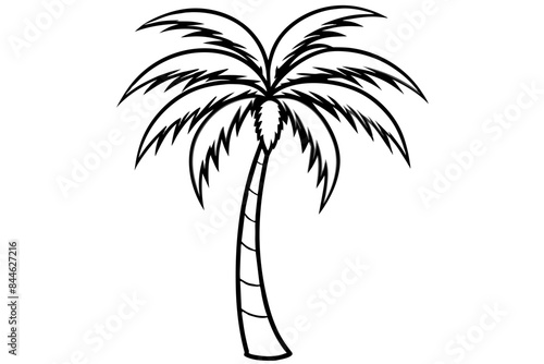 palm vector silhouette illustration