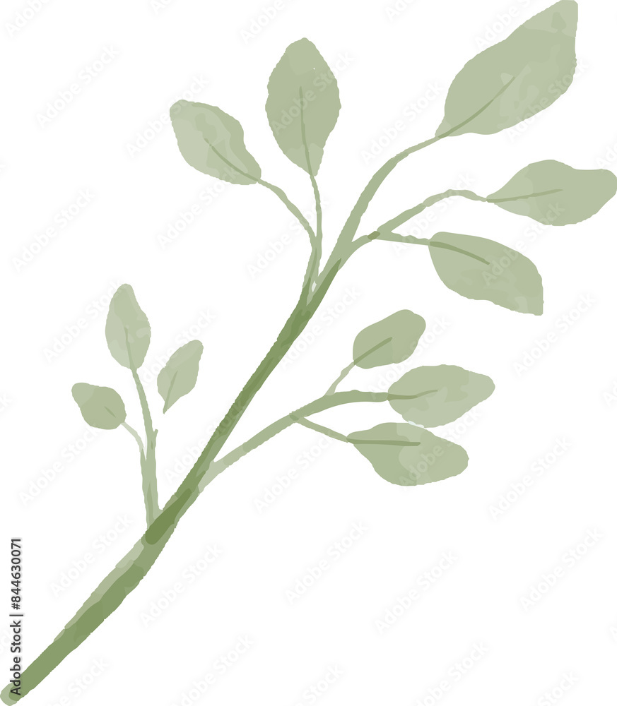 Obraz premium branches and leaves watercolor