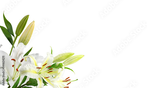 Bouquet of white lily flowers on corner border, cut out transparent background