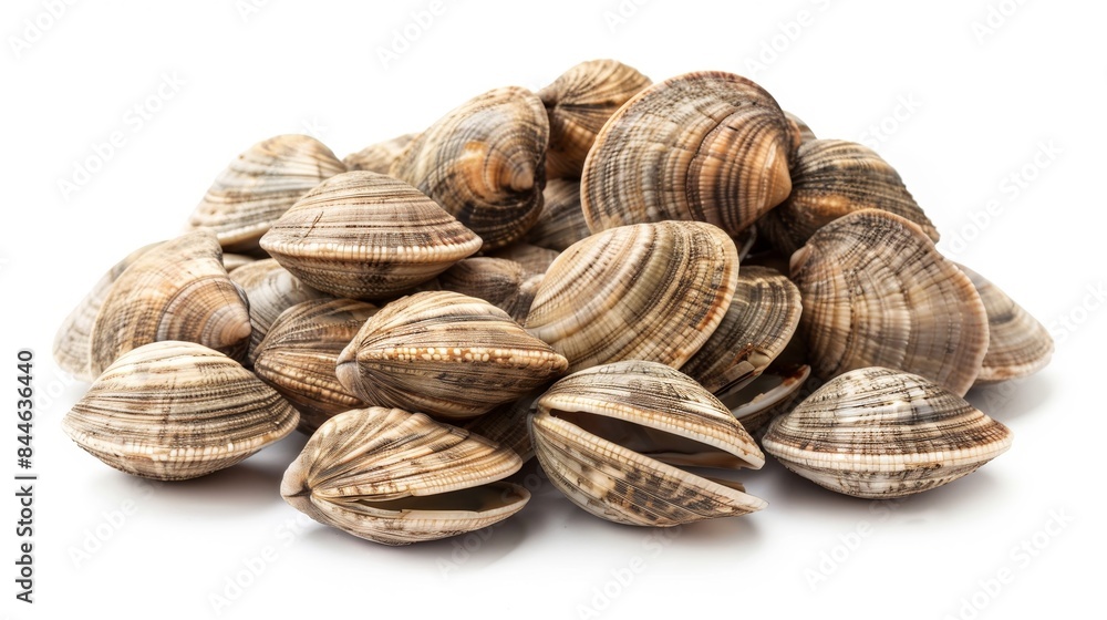Fresh, appetizing clams neatly stacked in a pile. Suitable for seafood menus, culinary designs, or food blogs. Ideal for marketing materials to promote seafood products Fresh, appetizing clams neatly stacked in a pile. Suitable for seafood menus, culinary designs, or food blogs. Ideal for marketing materials to promote seafood products