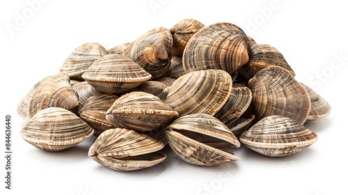 Fresh, appetizing clams neatly stacked in a pile. Suitable for seafood menus, culinary designs, or food blogs. Ideal for marketing materials to promote seafood products 