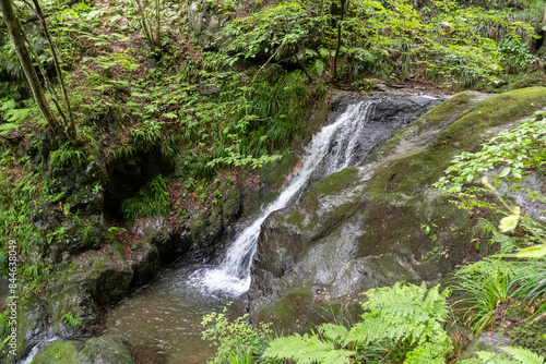 A view of the mountain trail of Bounooreyama going up from Shiratanisawa Ascent from the Shiratanisawa Ascent Yamaguchi