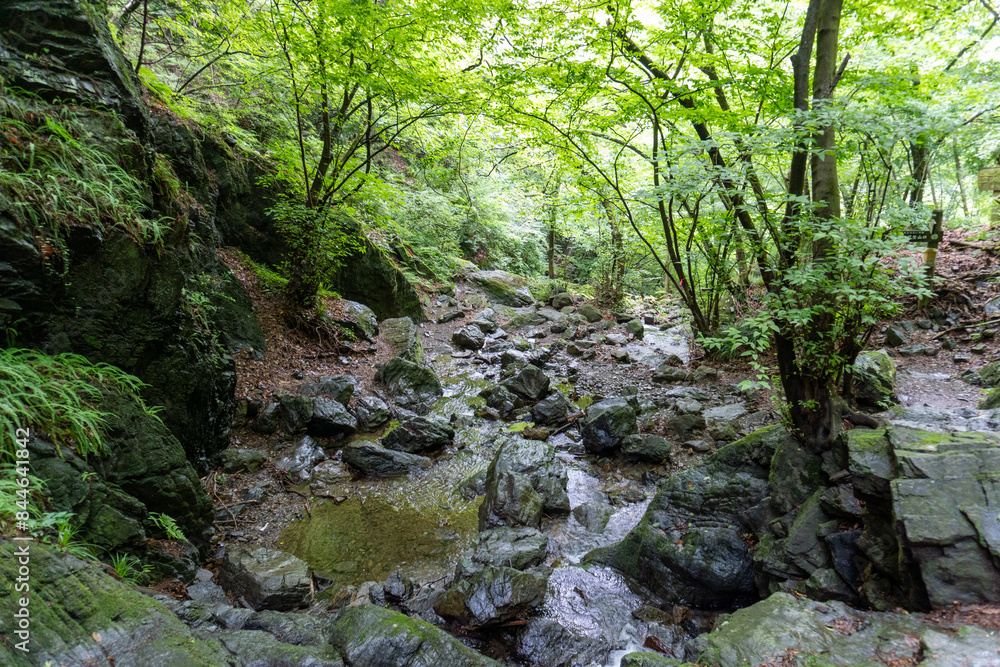 A view of the mountain trail of Bounooreyama going up from Shiratanisawa Ascent from the Shiratanisawa Ascent Yamaguchi A view of the mountain trail of Bounooreyama going up from Shiratanisawa Ascent from the Shiratanisawa Ascent Yamaguchi