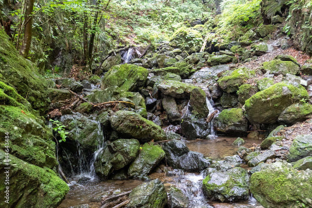 A view of the mountain trail of Bounooreyama going up from Shiratanisawa Ascent from the Shiratanisawa Ascent Yamaguchi