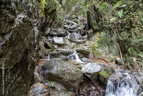 A view of the mountain trail of Bounooreyama going up from Shiratanisawa Ascent from the Shiratanisawa Ascent Yamaguchi photo