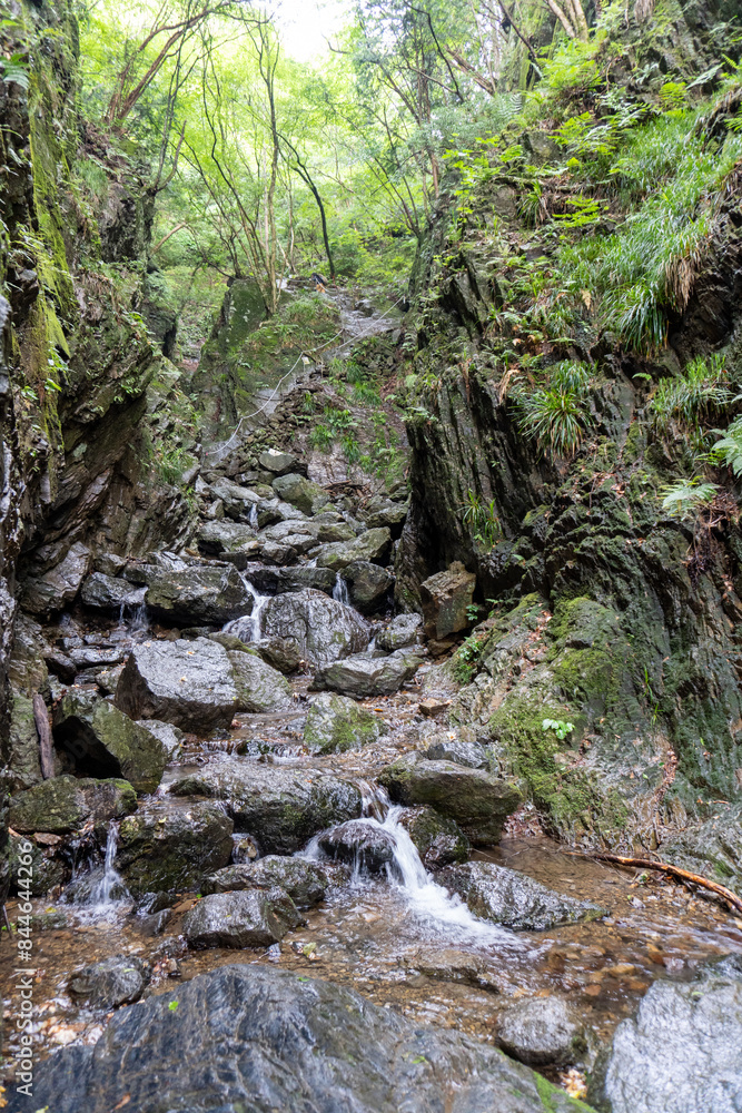 A view of the mountain trail of Bounooreyama going up from Shiratanisawa Ascent from the Shiratanisawa Ascent Yamaguchi A view of the mountain trail of Bounooreyama going up from Shiratanisawa Ascent from the Shiratanisawa Ascent Yamaguchi