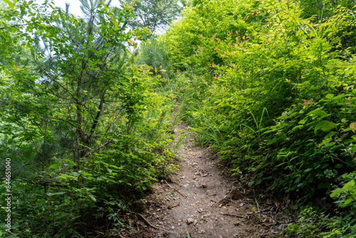 View of the trail from Mt. Bonno-ori via Mt. Kuroyama, Mt. Iwatakeishi, and Mt. Sodake © U3photos