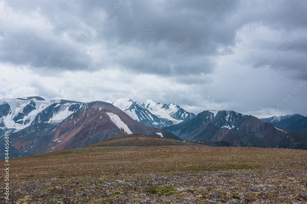 Fototapeta premium Dramatic view from stony pass with mosses, grasses and flowers to large mountain range with snow-capped pinnacle in gray cloudy sky. Atmospheric silhouettes of big snowy mountains in rainy weather.