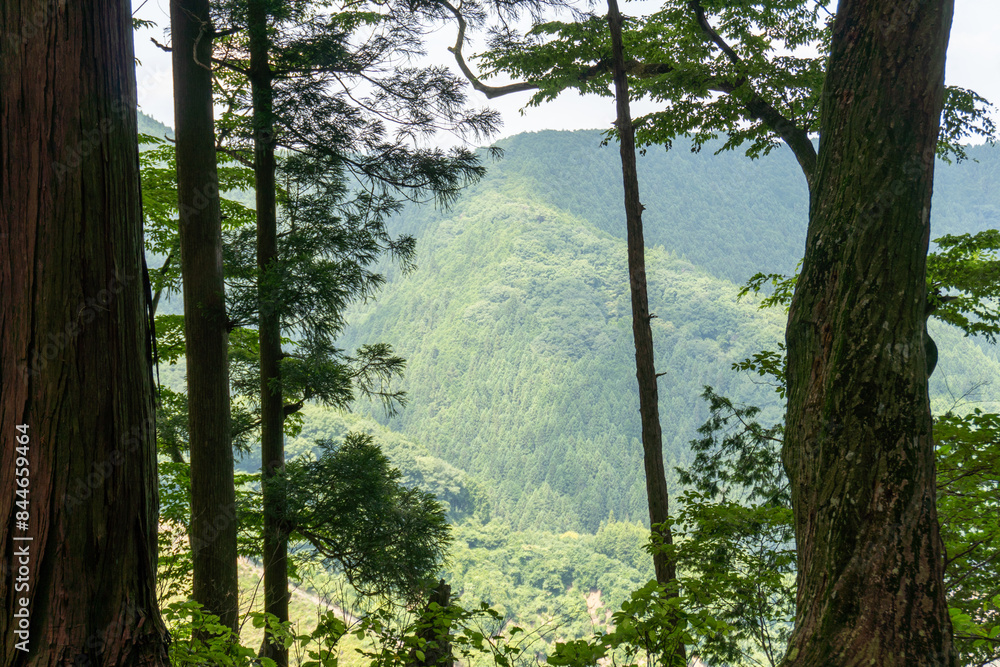 Naklejka premium View of the trail from Mt. Bonno-ori via Mt. Kuroyama, Mt. Iwatakeishi, and Mt. Sodake
