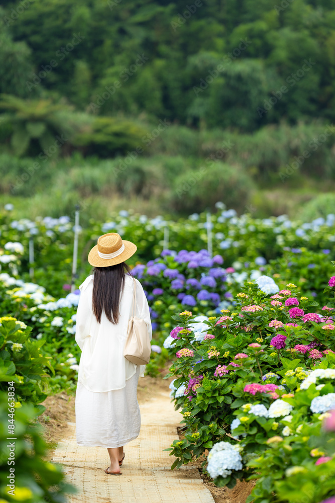 Beautiful woman walk in Hydrangea flower farm garden