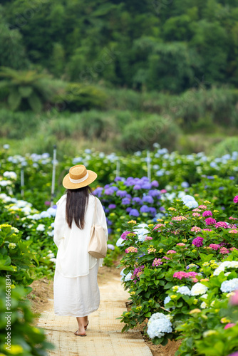 Obraz na płótnie Beautiful woman walk in Hydrangea flower farm garden w salonie