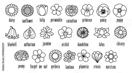 Collection of hand drawn flowers outlines with name labels, black and white elements for educational and project ornaments, vector and illustration.