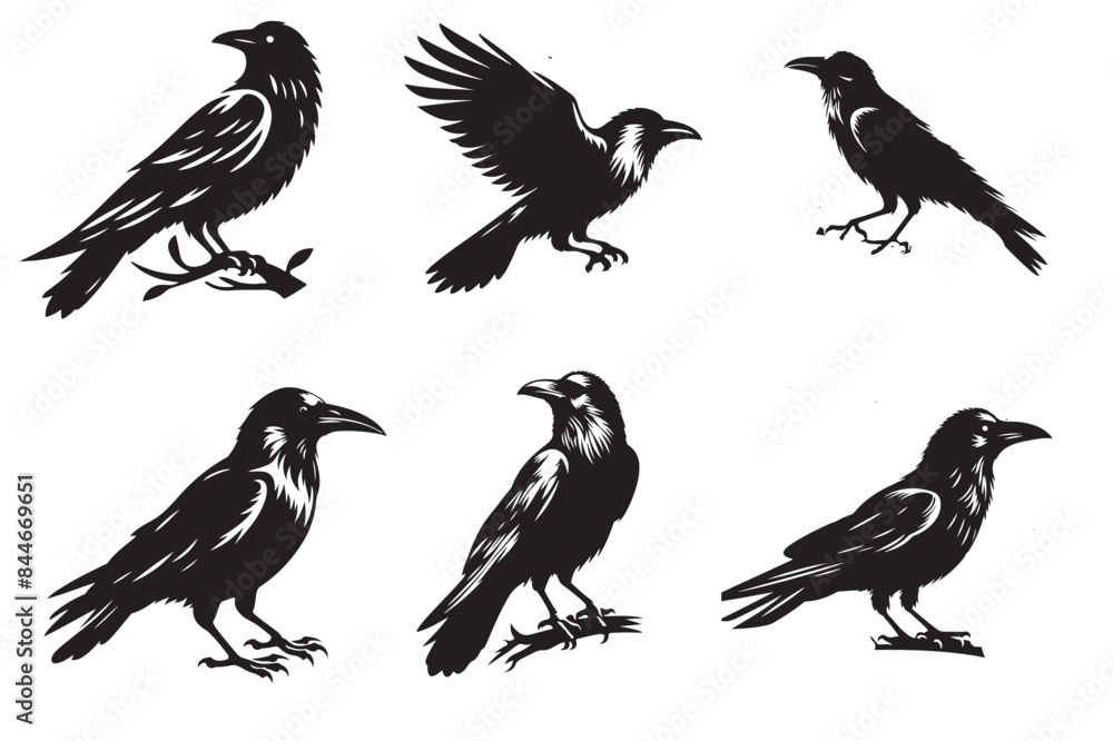 crow silhouette vector illustration crow silhouette vector illustration