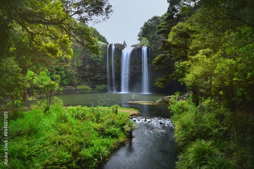 The Whangarei Falls and river