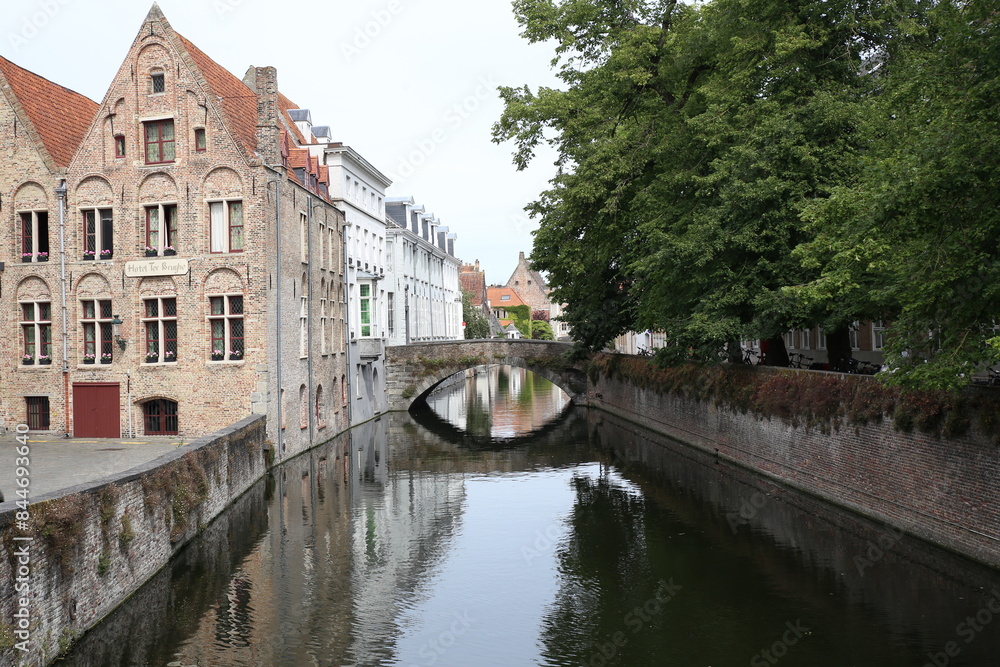 Obraz premium river nature outside castle houses architecture flowers