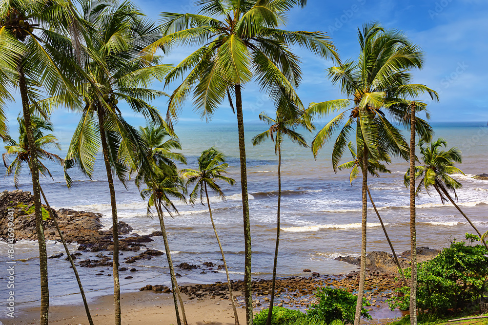 Nature of Vagator - wonderful red cliffs, palm trees, admirable Arabian Sea and golden sand. Bardez Taluka, Goa. Nature of Vagator - wonderful red cliffs, palm trees, admirable Arabian Sea and golden sand. Bardez Taluka, Goa.