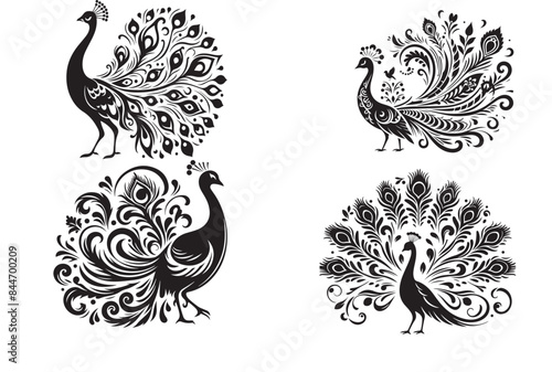 peacock silhouette vector illustration