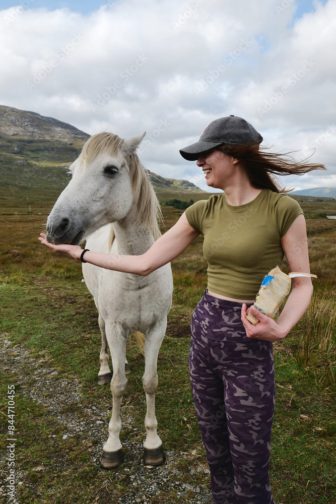Beautiful girl hiker feeding white horse at Connemara national park, Galway, Ireland, adventure concept, nature and mountain background