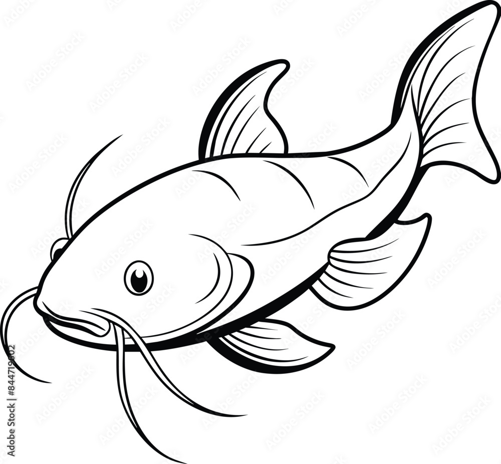 catfish illustration outline isolated on white background eps 10 catfish illustration outline isolated on white background eps 10