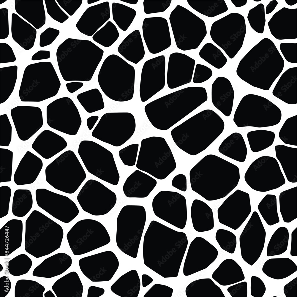Top View of Black and White Voronoi Pattern Top View of Black and White Voronoi Pattern