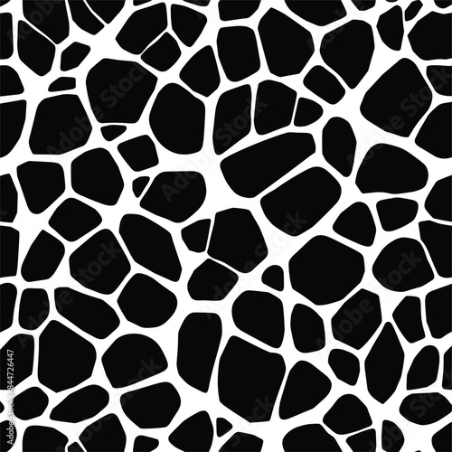 Top View of Black and White Voronoi Pattern