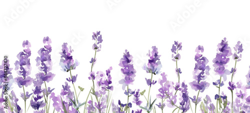 Seamless Horizontal Watercolor lavender isolated on transparent background