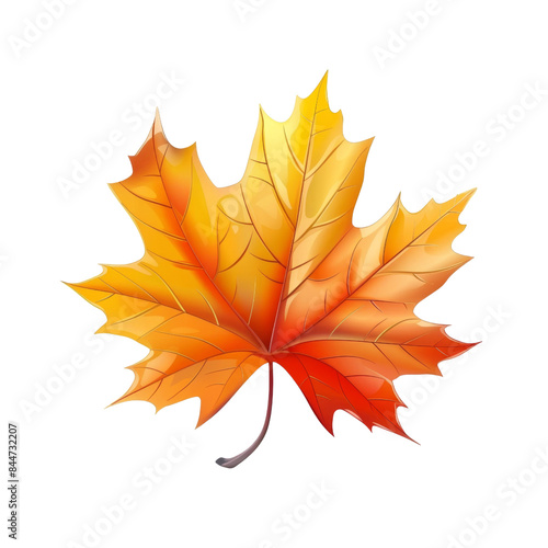 autumn maple leaf isolated with transparent background
